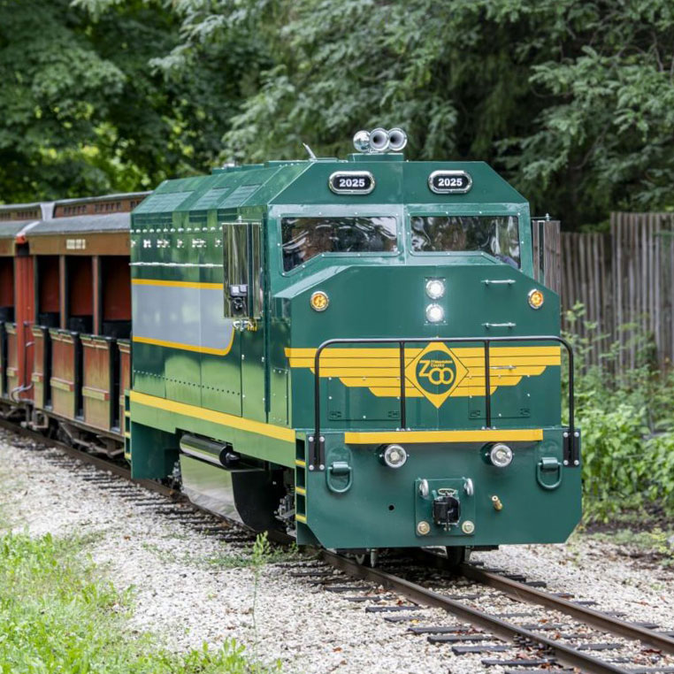 imgNorthShoreBankSafariZooTrain-Green-Sq